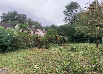 Elagage à Montmorency dans le Val d'Oise 95