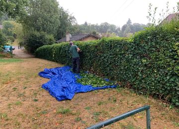 Taille d'arbre à Montmorency dans le Val d'Oise 95