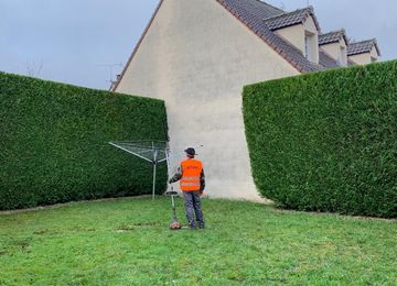 Taille de haies à Montmorency dans le Val d'Oise 95