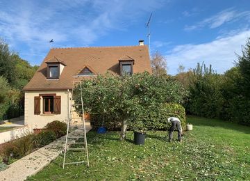 Taille de haies à Montmorency dans le Val d'Oise 95